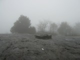 Rain and fog